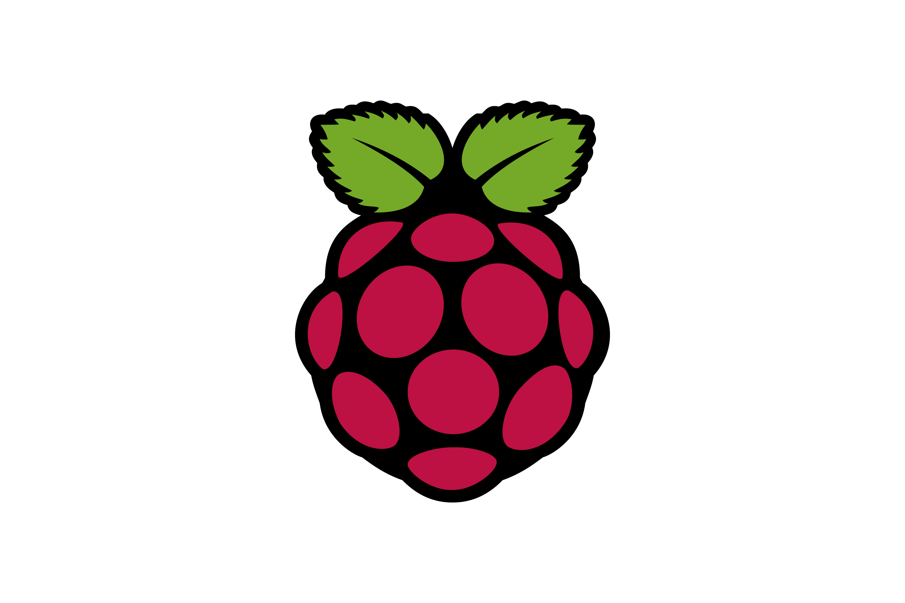 Raspberry Pi